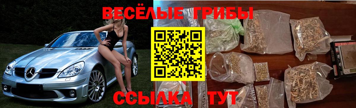 Галлюциногенные грибы мухоморы Барабинск