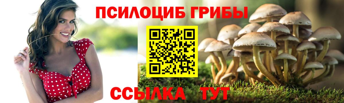 Галлюциногенные грибы мицелий  Псилоцибиновые грибы прущие грибы  Барабинск  Вход с VPN 